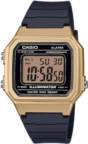 Casio Collection Chronograph »W-217HM-9AVEF«