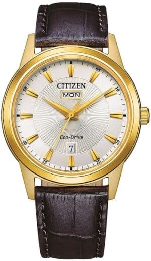 Citizen Solaruhr »AW0102-13A«