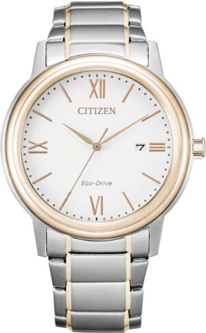 Citizen Solaruhr »AW1676-86A«